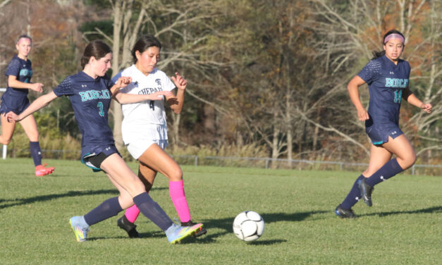Lakeview girls net big win on Senior Day