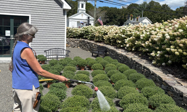 BZ Spotlight: Brierwood Nursery turns 50