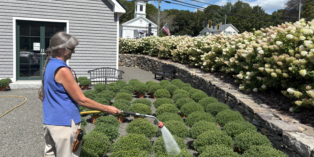 BZ Spotlight: Brierwood Nursery turns 50