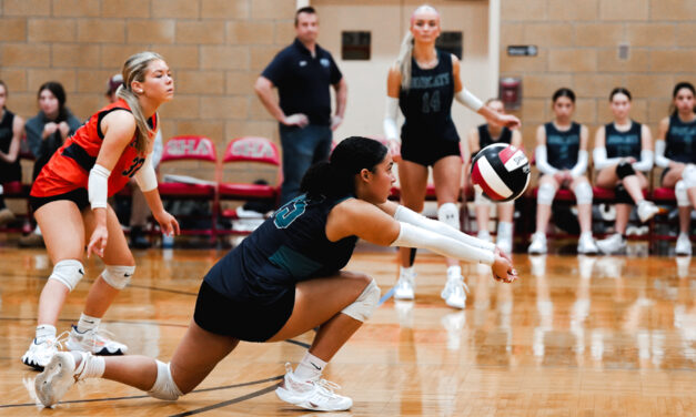 Bobcats’ season ends in Class M tourney