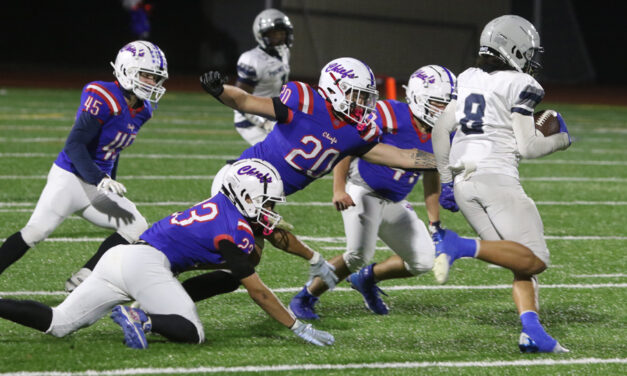 Lakeview players stand out for Nonnewaug