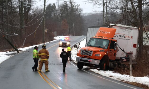 Tractor trailer truck runs off Fern Avenue