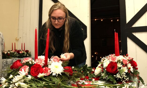 Workshop caps a strong start at Arethusa