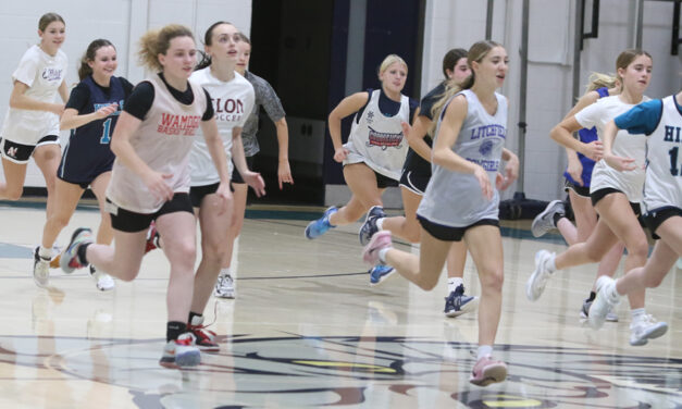 Big turnout as Lakeview girls get started