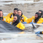 Conditions ideal for ice rescue exercise
