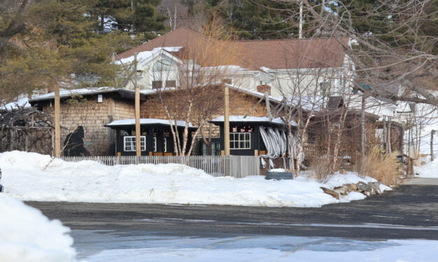 Pair arrested after fracas at Bohemian