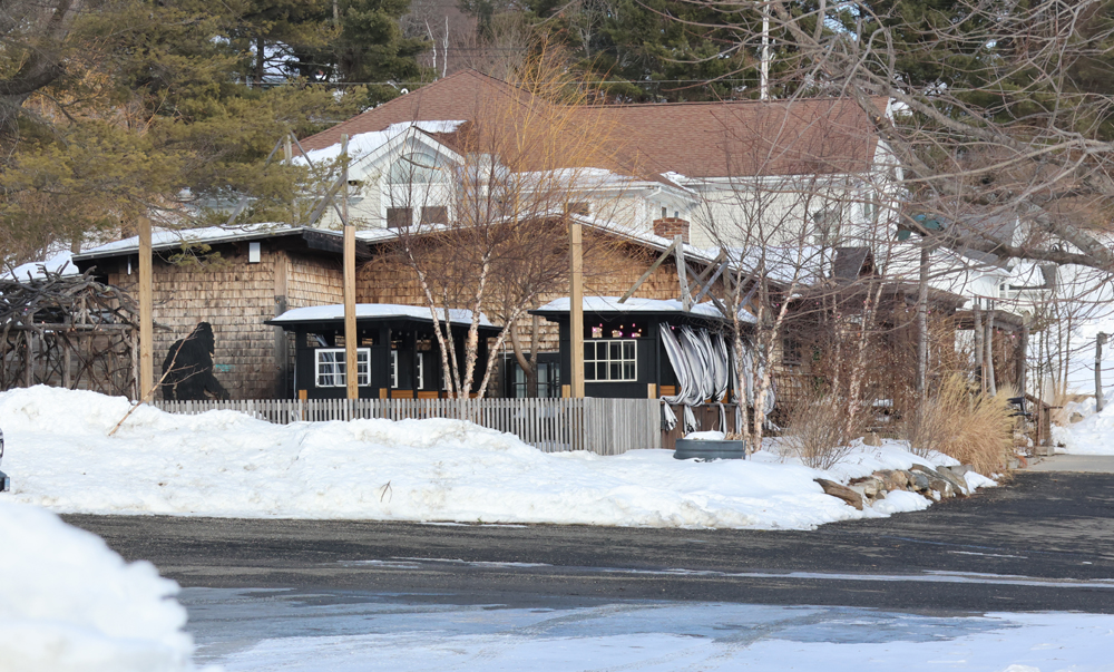 Pair arrested after fracas at Bohemian