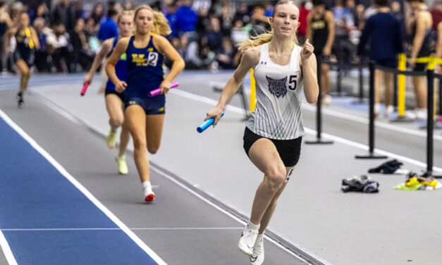 Lakeview teams compete in Class S meet