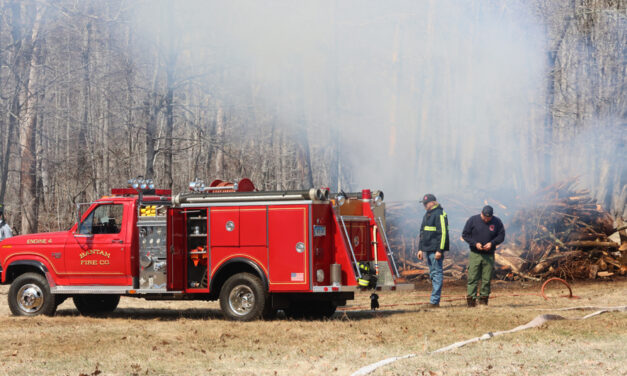Property owner cited for illegal brush burn