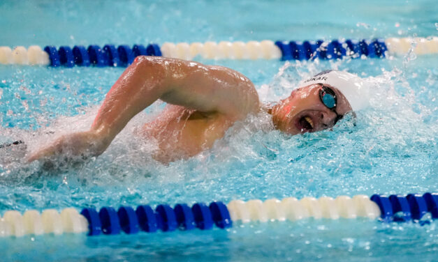 Lakeview places 20th in State Open meet