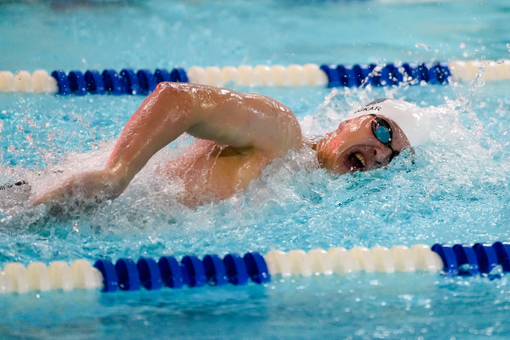 Lakeview places 20th in State Open meet