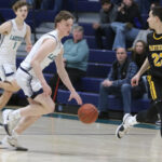 ‘Cats move on in Division IV tournament