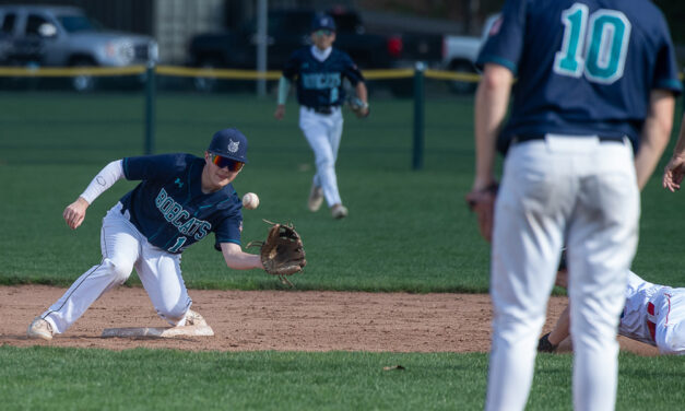 Big hits don’t come as Lakeview ‘9’ defeated