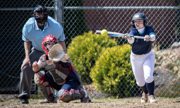 Lakeview bidding for second softball win