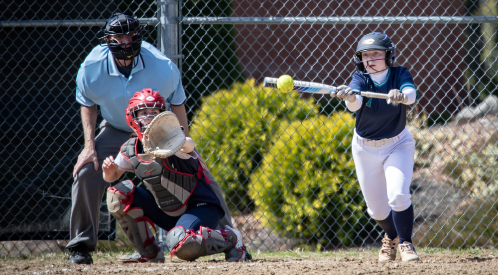 Lakeview bidding for second softball win