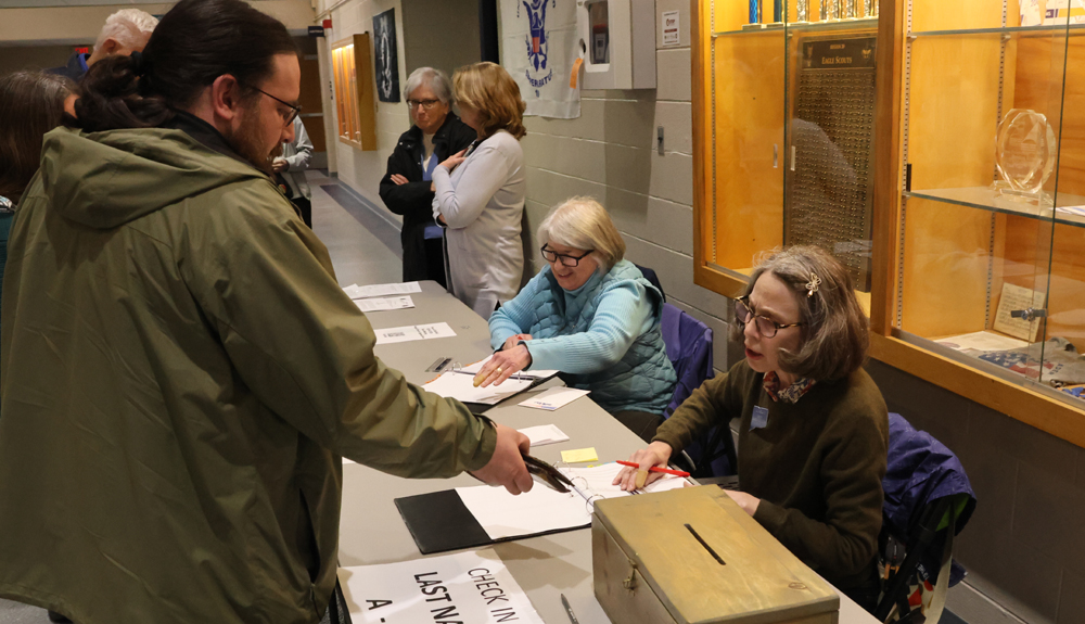 Litchfield voters in an approving mood