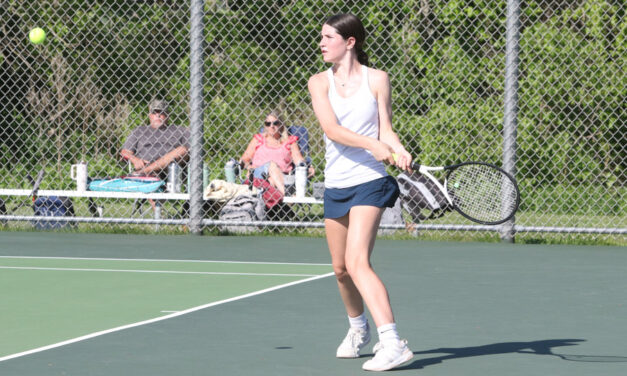 Bobcats net a momentum-building win