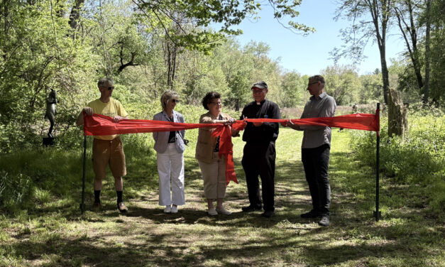 Likin’ Litchfield: Sculpture exhibit is a hit