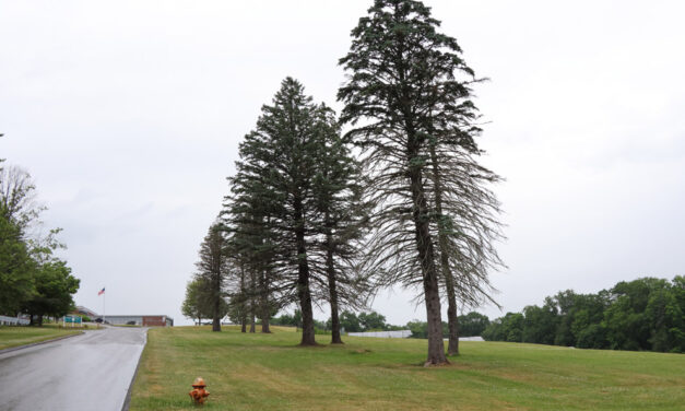 Lakeview parking lot plan gains approval