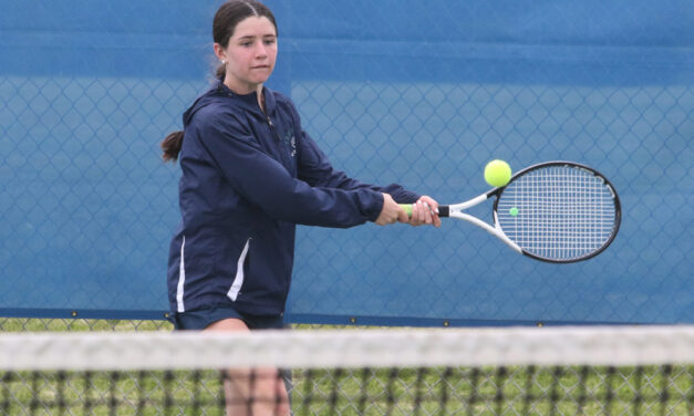 Bobcats eliminated in Class M tournament