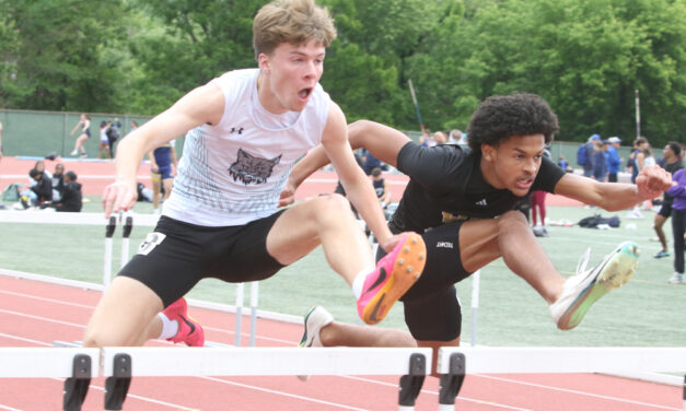 Lakeview boys 14th in Class M championship