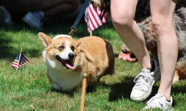 Pet parade an Independence Day tradition