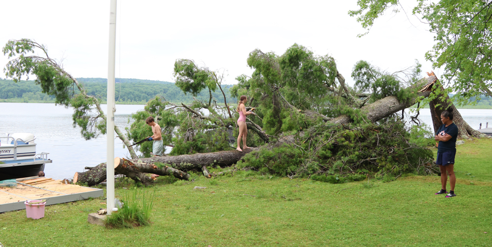 Storm topples landmark pine in Goshen