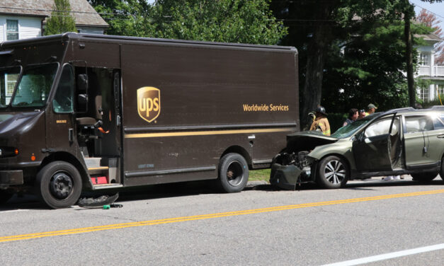 Driver and piglets unscathed in accident