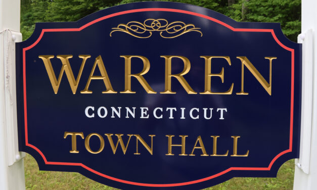 Bear has been invading Warren homes
