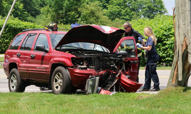 Driver injured in collision with pole