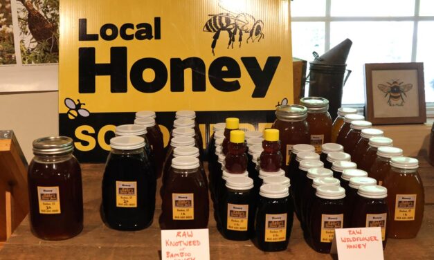 Goshen to showcase summertime bounty