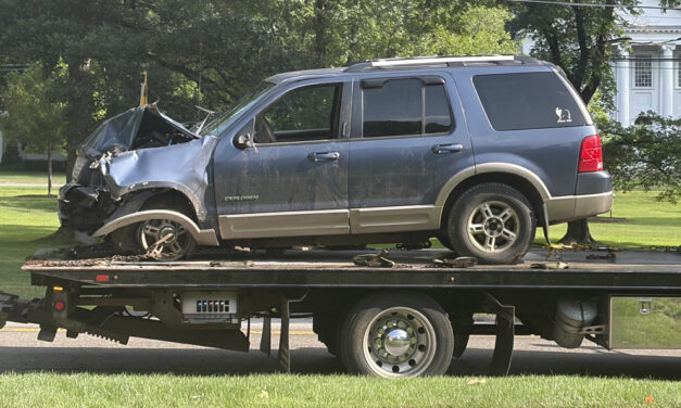 Vehicle causes mayhem in center of town