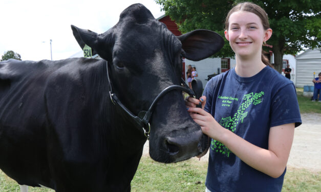 4-H fair highlights youth accomplishments