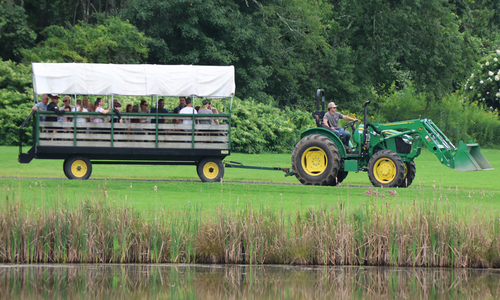Open house at Arethusa celebrates camp