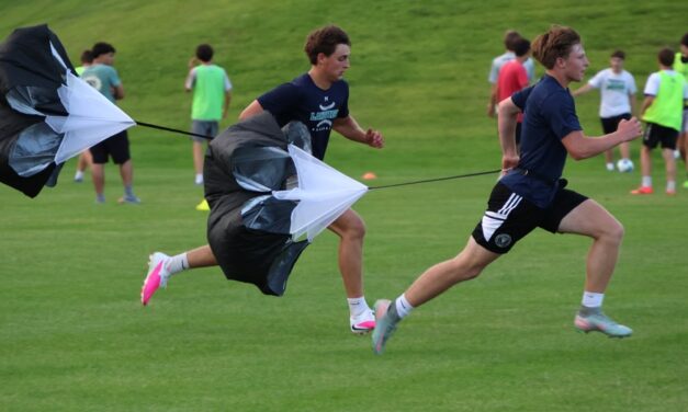 Bobcats at work as preseason begins