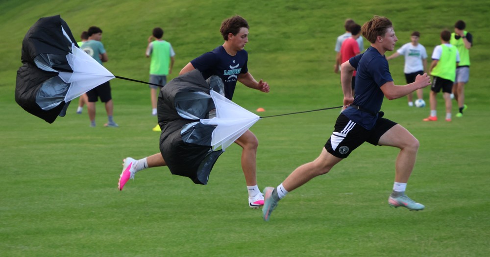 Bobcats at work as preseason begins