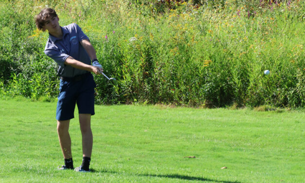 Lakeview golfers show early promise