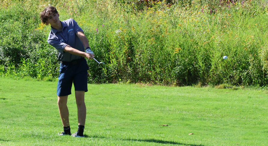 Lakeview golfers show early promise
