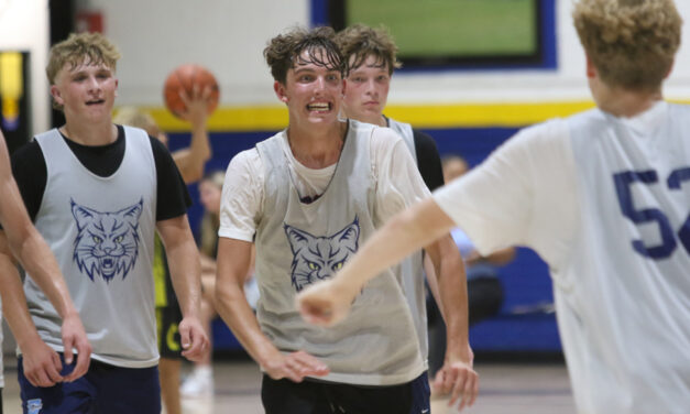 Summer league trophy rests with Lakeview