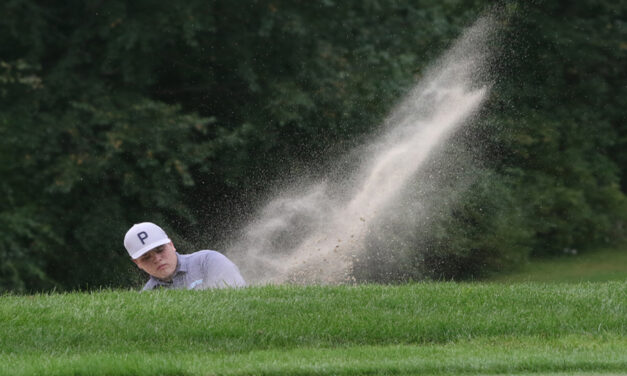 Lakeview golfers winners in BL opener