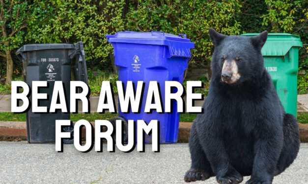 Bear aware forum is scheduled in Warren