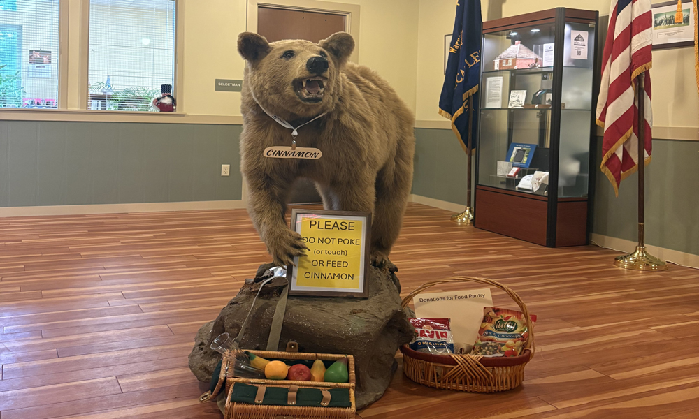 Bear in mind the food pantry in Warren