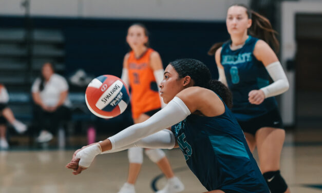 Lakeview v-ball team finding its footing