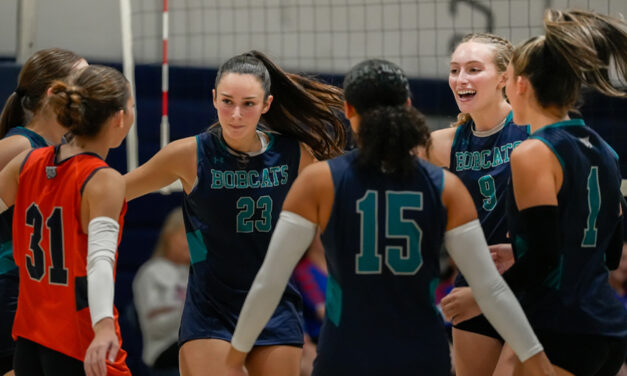Lakeview falls in BL volleyball match