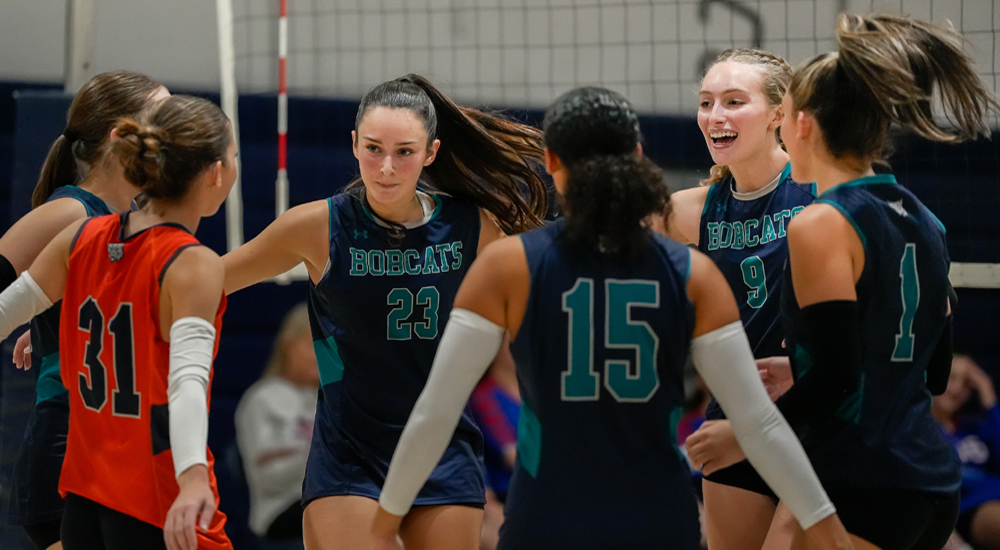 Lakeview falls in BL volleyball match