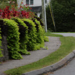 Borough officials seek cash for sidewalks