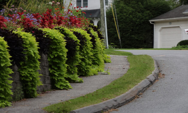 Borough officials seek cash for sidewalks