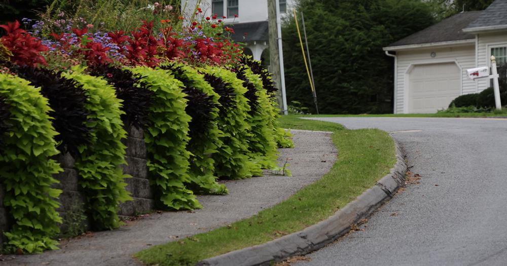 Borough officials seek cash for sidewalks