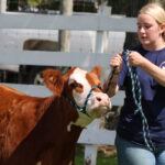Goshen Fair’s entertainment is non-stop