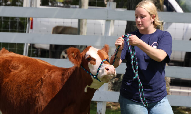 Goshen Fair’s entertainment is non-stop
